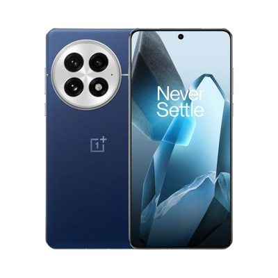 One plus 13
